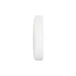 Creamsicle vibrating butt plug - main product image