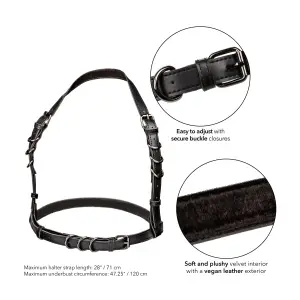 Euphoria Collection Plus Size Halter Buckle Harness - Black sexy lingerie - main product image