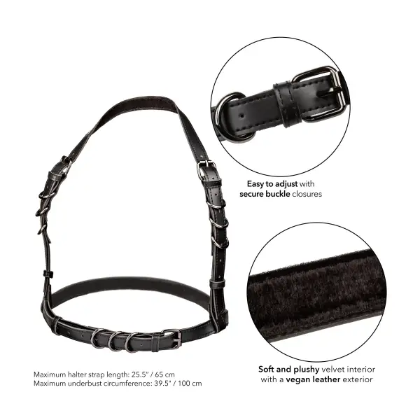 Euphoria Collection Halter Buckle Harness - Black bondage toys - packaging view