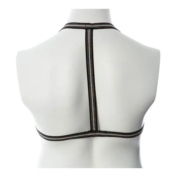 Gender Fluid Silver Lining Harness - Large/xxlarge - Multi-Color bondage toys - main image