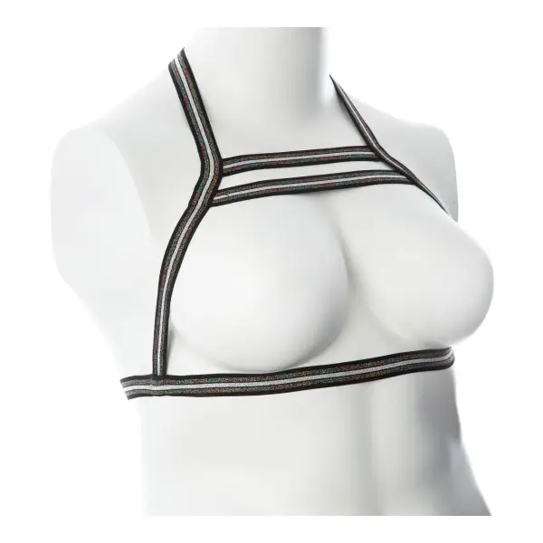 Gender Fluid Silver Lining Harness - Large/xxlarge - Multi-Color bondage toys - detail view