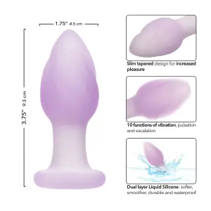 Lavender Haze Ridge Probe anal vibrators for men - alternate angle