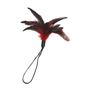 Pleasure Feather - Red feather tickler - main product image