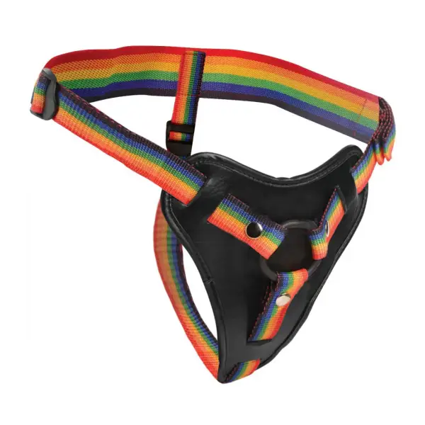 Take the Rainbow Universal Harness - strap on dildo harness - product image 2