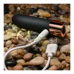 The Gold Standard - Black bullet vibrator - main product image